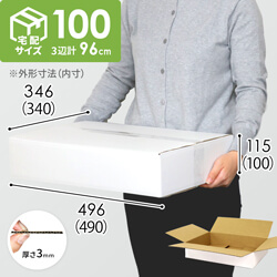 【宅配100サイズ】 ダンボール箱（白・薄型）洋服用