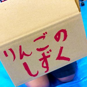 段ボールのお仕事体験♪キッズタウンに出展しました!