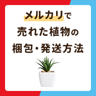 メルカリで売れた植物の梱包方法・発送方法を解説！ - お役立ち記事