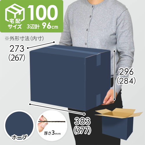 【青色・ホープ】宅配100サイズ・ダンボール箱 width=500