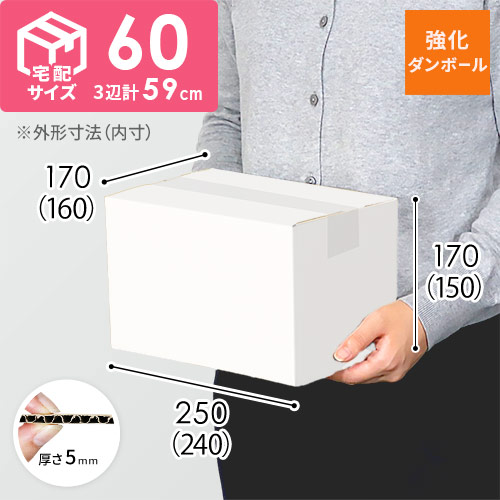 【宅配60サイズ】強化材質 ダンボール箱（白・A5サイズ） width=500
