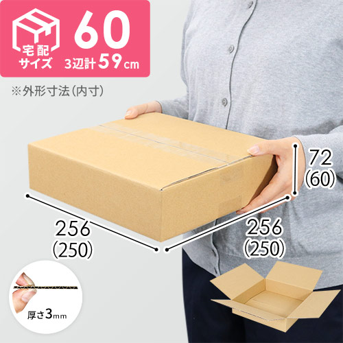 【薄型】宅配60サイズ・ダンボール箱（250×250×60mm） width=500