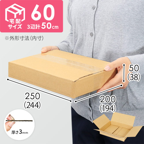 【薄型】宅配60サイズ・ダンボール箱（244×194×38mm） width=500