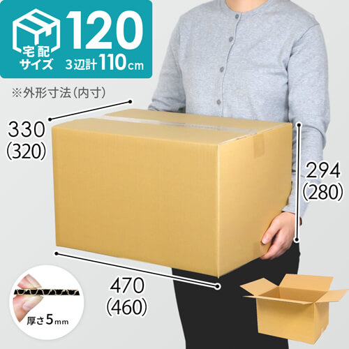 【宅配120サイズ】ダンボール箱 width=500