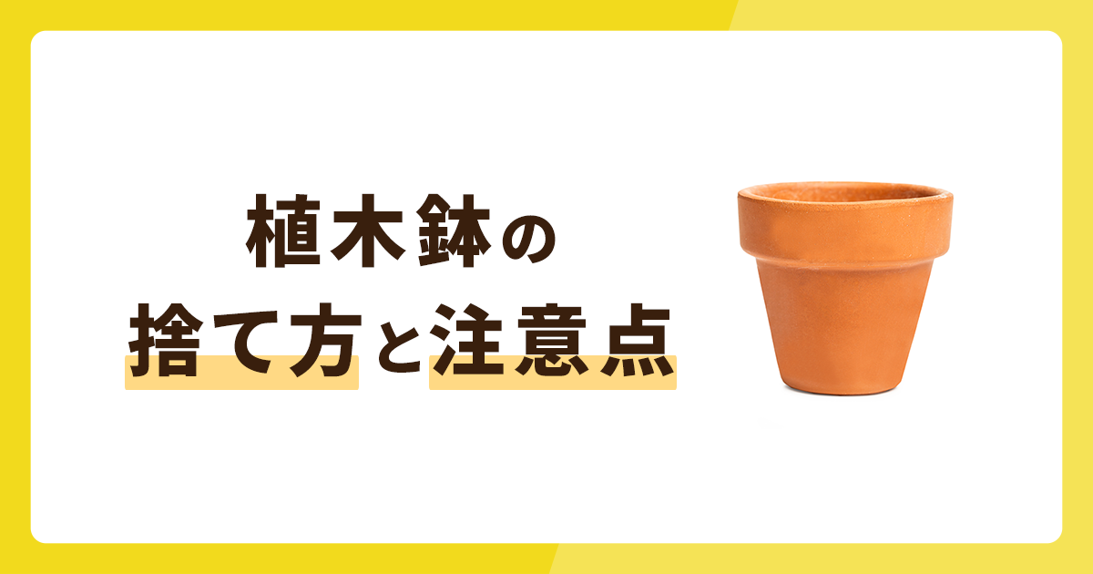 植木鉢の捨て方5選！一緒に捨てられないものや注意点も併せて解説