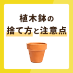 植木鉢の捨て方5選！一緒に捨てられないものや注意点も併せて解説