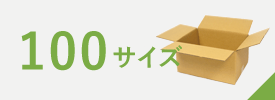 宅配100サイズ