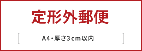 小型・定形外ケース