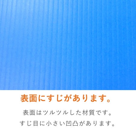 【宅配140サイズ】プラダンコンテナ（取っ手付）通い箱・保管用