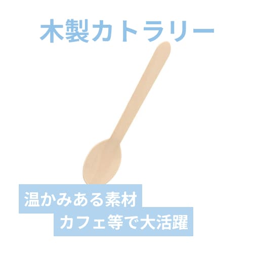 HEIKO 木製スプーン 160mm バラ(個包装なし) 100本