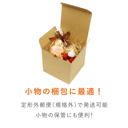 小物用ケース（10cm立方体）