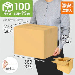 【広告入】宅配100サイズ 段ボール箱