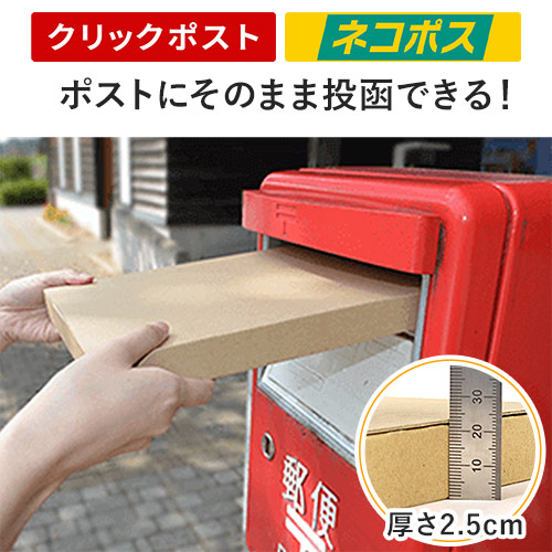 【ネコポス・クリックポスト】厚さ2.5cm・ヤッコ型ケース（A4サイズ・ジッパー付き）