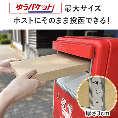 【クロネコゆうパケット・クリックポスト・ゆうパケット】厚さ3cm・テープレスケース（A4サイズ）