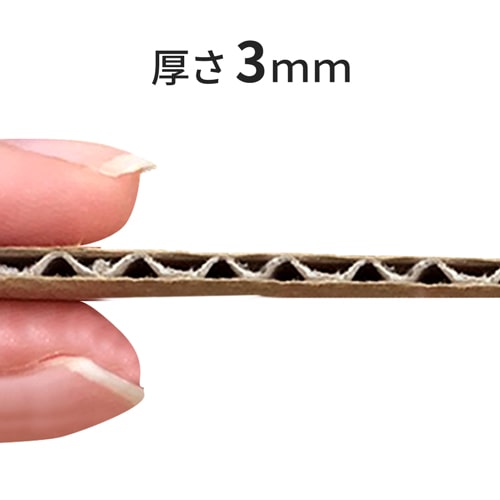 【宅配50サイズ】ワンタッチ組立て ダンボール箱