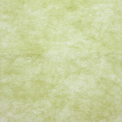 トワロール １ ワカタケ