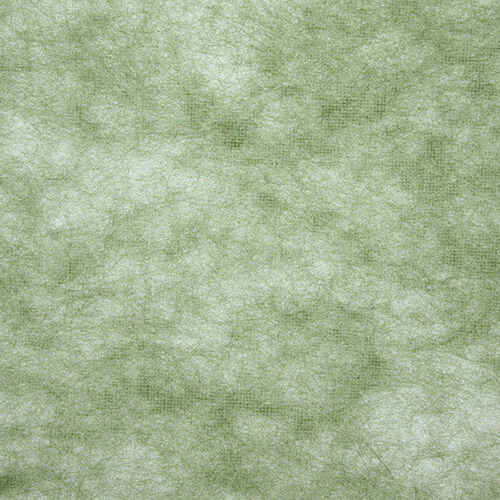 トワロール ２ フカミドリ