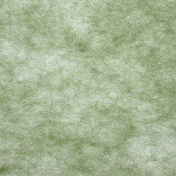 トワロール ２ フカミドリ