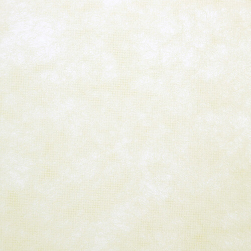 トワロール １２ クリーム