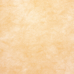 トワロール １３ アンズ