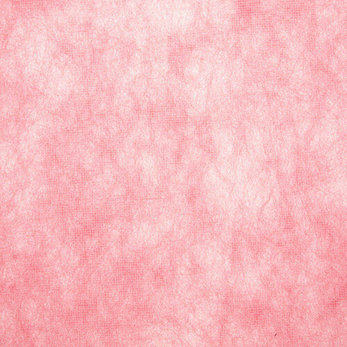 トワロール １６ サンゴ