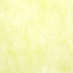 トワロール １９ マスカット