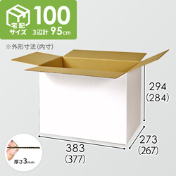 【宅配100サイズ】白ダンボール箱（クロネコボックス10）