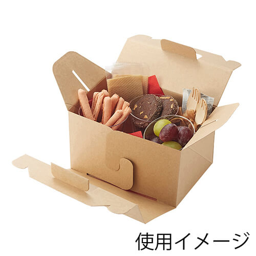 HEIKO 箱 ネオクラフト キャリーボックス L ケーキ6〜7個用