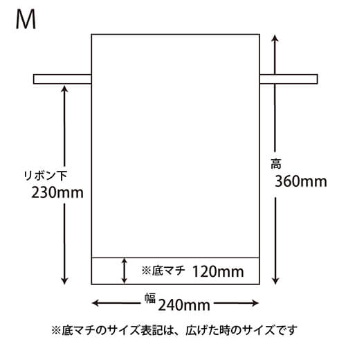 Ｆバッグ Ｗシャンテタイプ Ｍ 無地ＢＲ