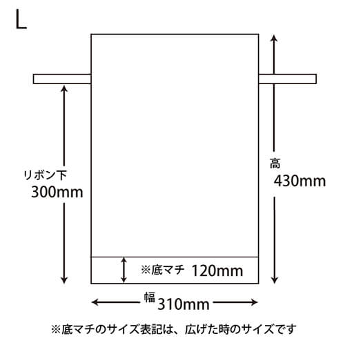Ｆバッグ Ｗシャンテタイプ Ｌ 無地ＢＲ