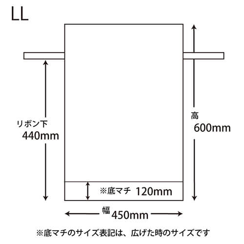 Ｆバッグ Ｗシャンテタイプ ＬＬ 無地Ｐ