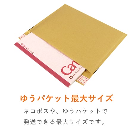 【名入れ印刷 ・1色】クッション封筒（ネコポス最大）※A4不可　※印刷版代無料