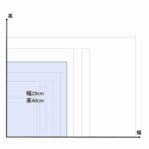 Ｎノンパピエバッグ ２９－４０ 白