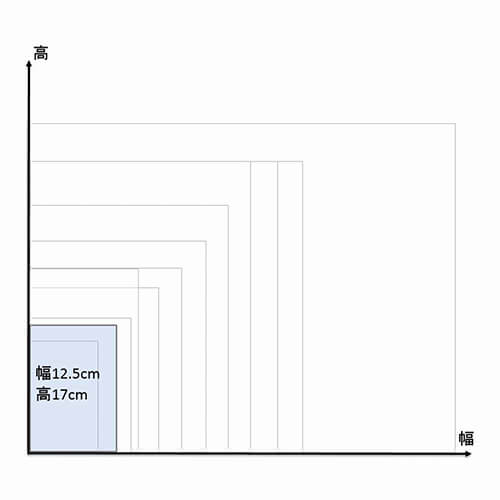 Ｎノンパピエバッグ １２．５－１７ 白