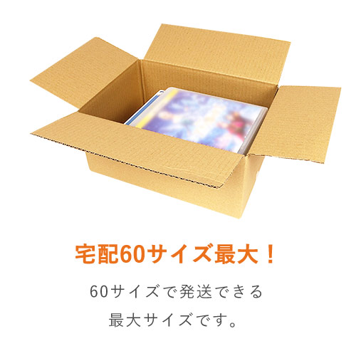 【宅配60サイズ】ダンボール箱