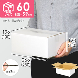 【宅配60サイズ】ダンボール箱（白）