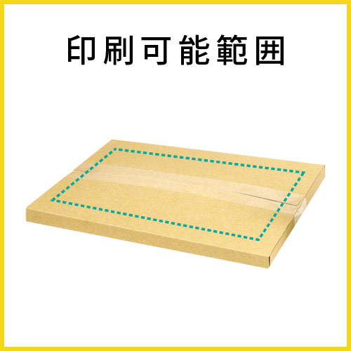 【名入れ印刷】厚さ2cm・ヤッコ型ケース（A4サイズ、クリックポスト・クロネコDM便）