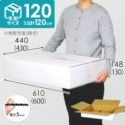【宅配120サイズ】 ダンボール箱（白・薄型）洋服用
