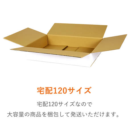 【宅配120サイズ】 ダンボール箱（白・薄型）洋服用