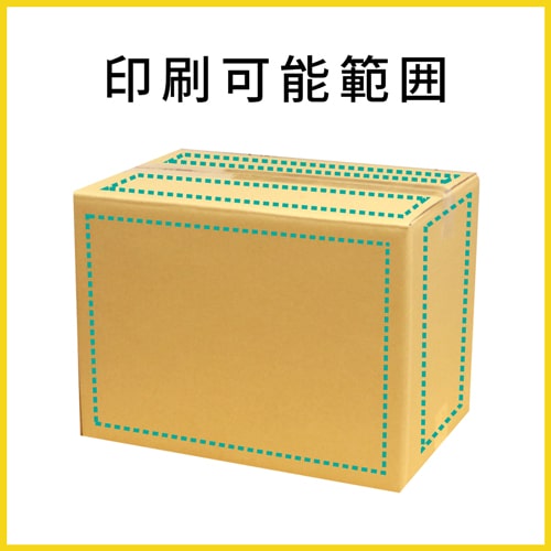 【名入れ印刷】宅配100サイズ ダンボール箱（白・A4サイズ）