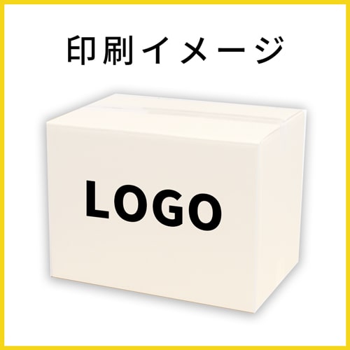 【宅配100サイズ】 引っ越し・梱包用 ダンボール箱（A4サイズ）