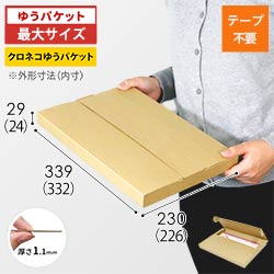 【クロネコゆうパケット・クリックポスト・ゆうパケット】厚さ3cm・テープレスケース(しっかりタイプ)