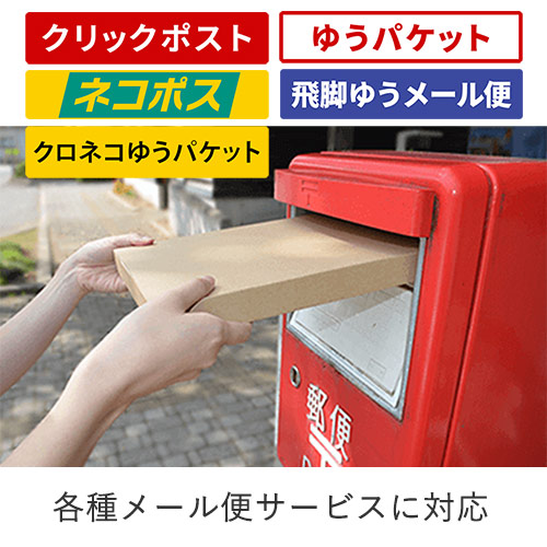 【ネコポス・クロネコゆうパケット】厚さ2.5cm・ジッパー付きケース(しっかりタイプ)