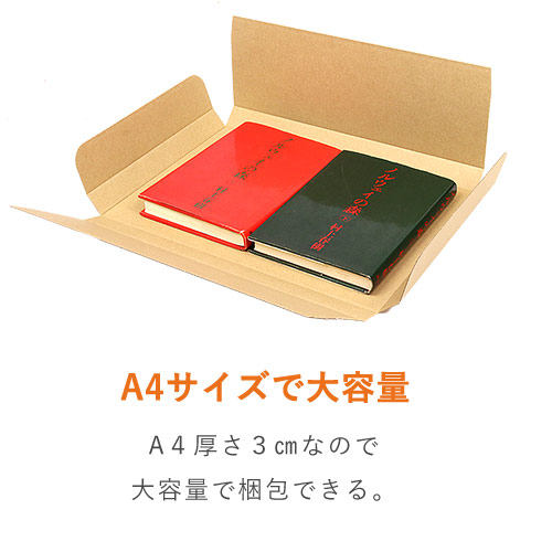 【クロネコゆうパケット・クリックポスト・ゆうパケット】厚さ3cm・ヤッコ型ケース(しっかりタイプ)