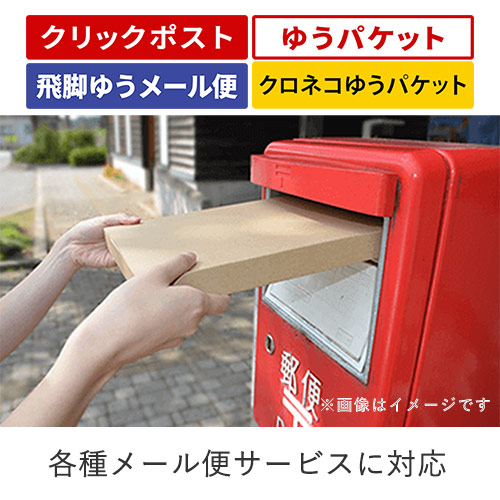 【クリックポスト・ゆうパケット最小】厚さ3cm・N式ケース(しっかりタイプ)