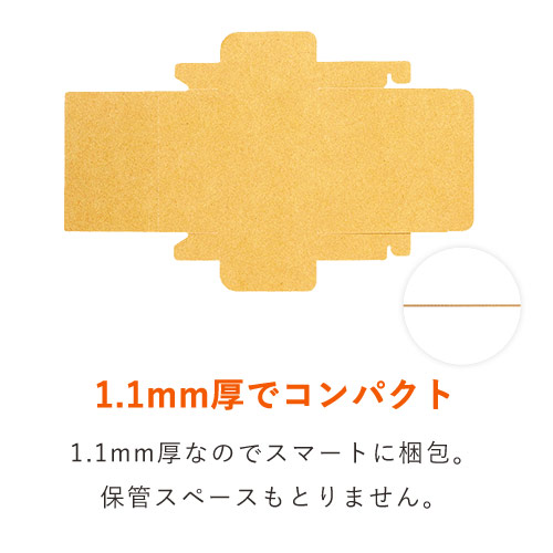 【クリックポスト・ゆうパケット最小】厚さ3cm・N式ケース(しっかりタイプ)