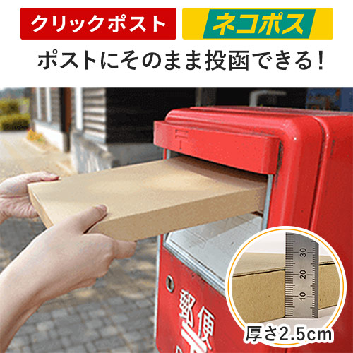 【ネコポス・クリックポスト】厚さ2.5cm・テープレスケース(しっかりタイプ)