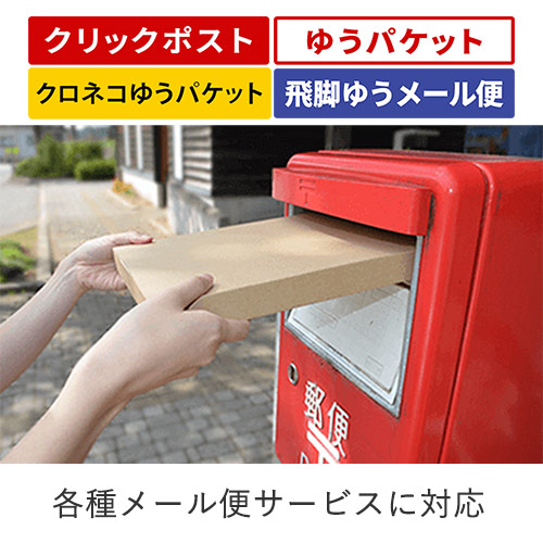 【クロネコゆうパケット・クリックポスト】厚さ2.5cm・N式ケース(しっかりタイプ)