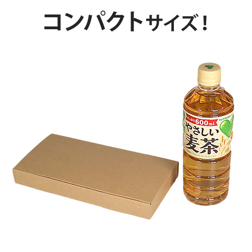【ネコポス・定形外郵便】厚さ3cm・N式ケース(しっかりタイプ)