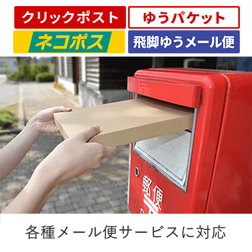 【ネコポス・クリックポスト】厚さ2.5cm・ヤッコ型ケース(しっかりタイプ)